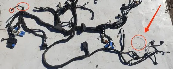 Nissan Note (E12) Wiring harness 