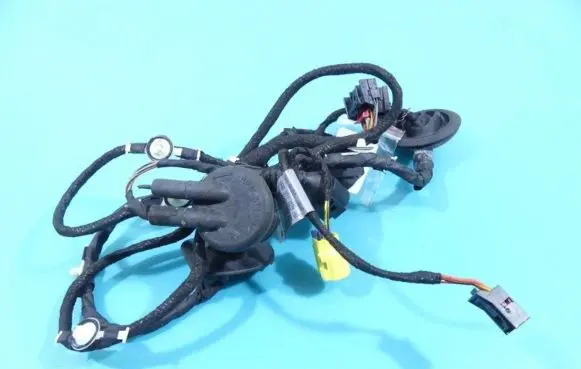 Front door wiring loom