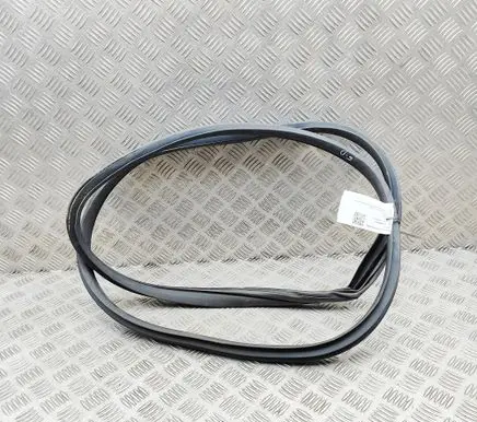 BYD Dolphin Rubber seal rear door 1313656400 EM2E5407114