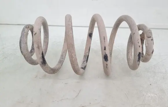 Volkswagen PASSAT B5 Rear coil spring