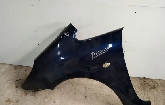 Citroen Xsara Picasso Fender