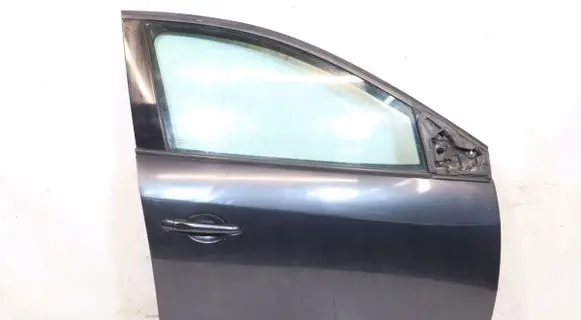 Renault Megane II Front door 