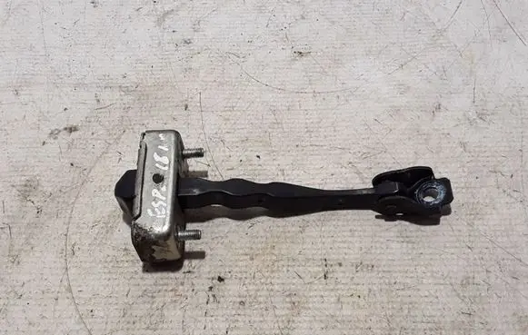 Renault Espace V (RFC) Front door check strap stopper 804300024R
