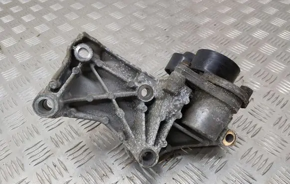 Nissan Qashqai Generator/alternator belt tensioner