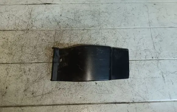 Hyundai Santa Fe Front sill trim cover 877102B000