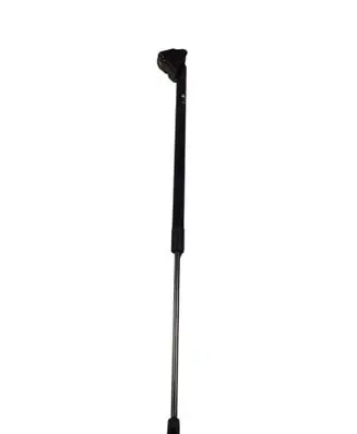 Ford Mustang Mach-E Tailgate strut LJ8BR406A11 LJ8BR406A11AF 724461