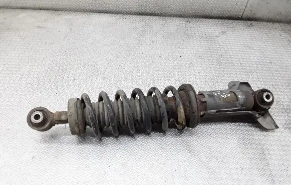 Peugeot 407 Rear shock absorber with coil spring 