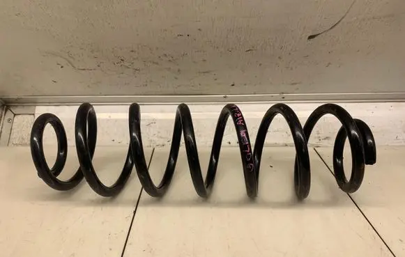 Volkswagen Golf IV Rear coil spring