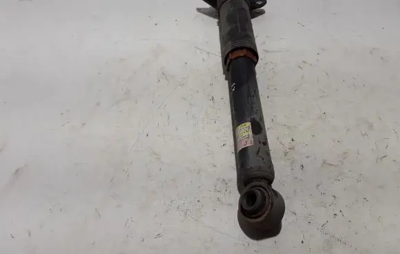 Lexus NX Rear shock absorber/damper 4853078240