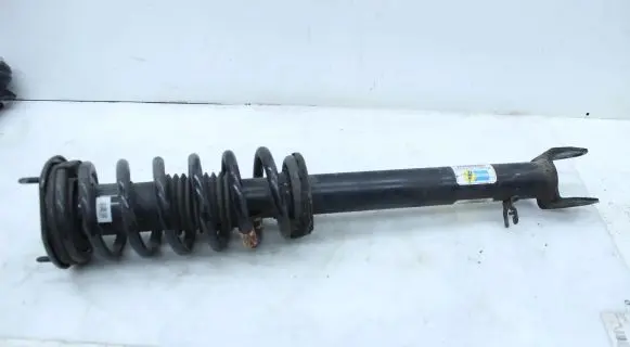 Tesla Model S Rear shock absorber/damper F4BE5J123W1