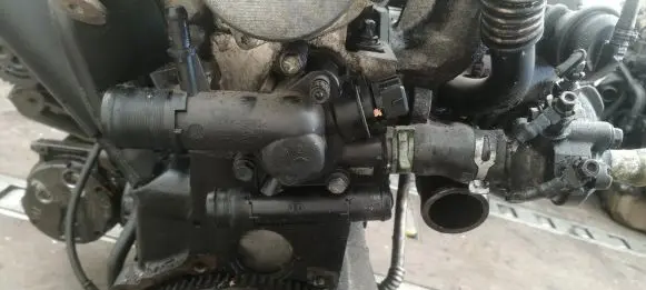 Renault Scenic I Engine coolant pipe/hose