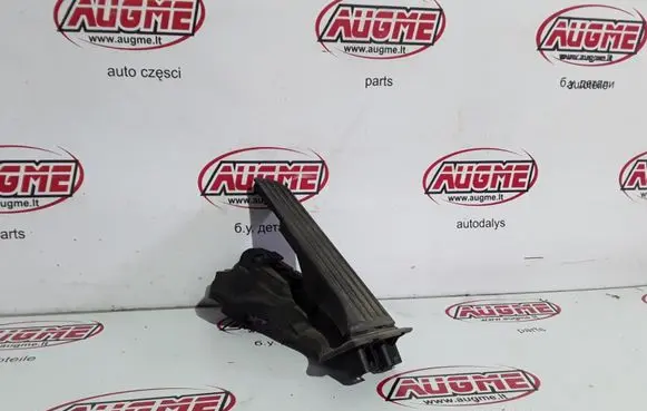 Volkswagen PASSAT B6 Accelerator throttle pedal 6PV00860001