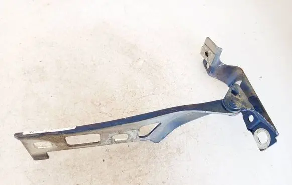 Opel Zafira B Engine bonnet/hood hinges 