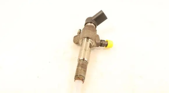 Citroen C4 I Picasso Fuel injector 9674973080