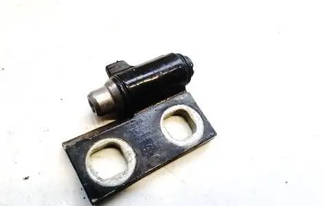 Rear door lower hinge