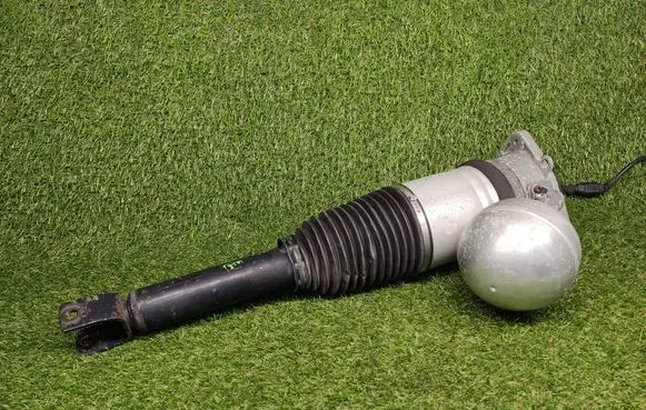Volkswagen Phaeton Shock absorber/damper/air suspension 3D0616001H