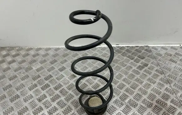 Rear coil spring