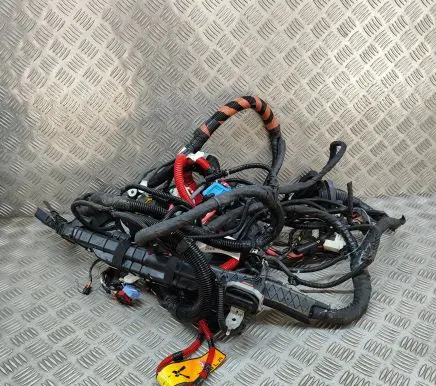 Tesla Model Y Other wiring loom 248905808B