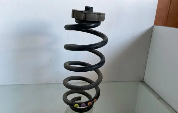 Rear coil spring