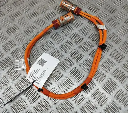 BMW iX Other wiring loom 5A0C141
