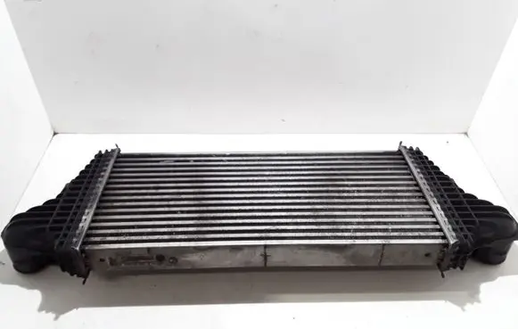 Mercedes-Benz R W251 Intercooler radiator A1645001900