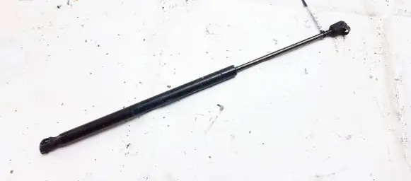 Renault Scenic II - Grand scenic II Tailgate/trunk strut/damper