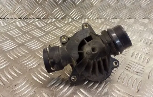 Thermostat/thermostat housing