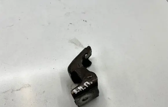 Renault Scenic III - Grand scenic III Rear door lower hinge