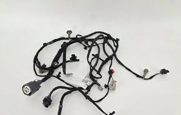 Other wiring loom