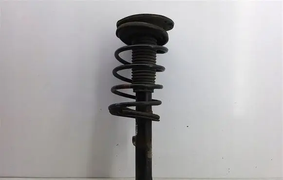 Peugeot 206 CC Front shock absorber with coil spring 