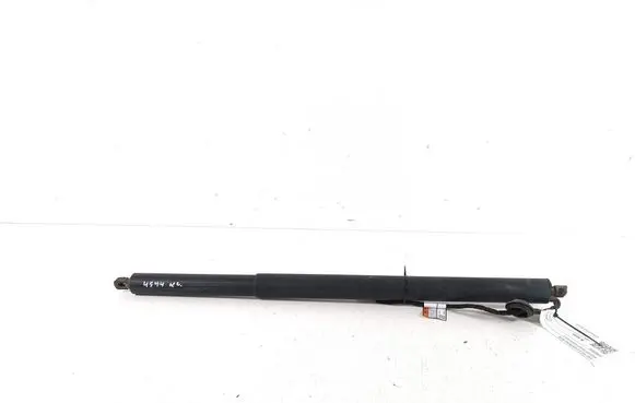 Tailgate strut