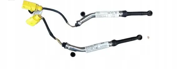 Volkswagen Tiguan Engine bonnet/hood hinges 5NA823823F
