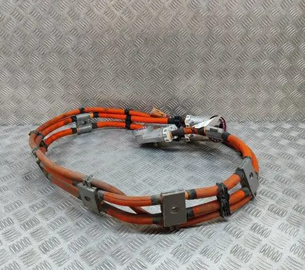 Mercedes-Benz EQS V297 Other wiring loom A2975406328