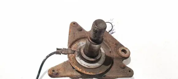 Renault Scenic III - Grand scenic III Stub axle 260x30