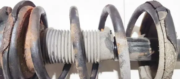KIA Carnival Front coil spring 4600201va