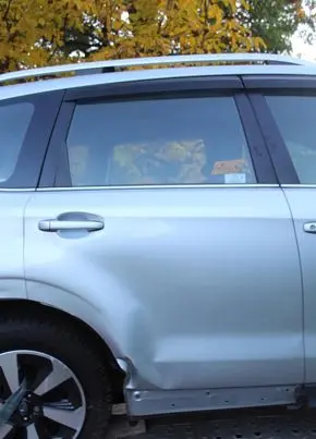 Subaru Forester SJ Rear door sjiv