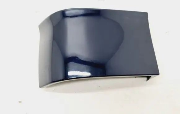 Rear/tail light trim molding