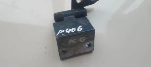 Peugeot 406 Rear door lower hinge