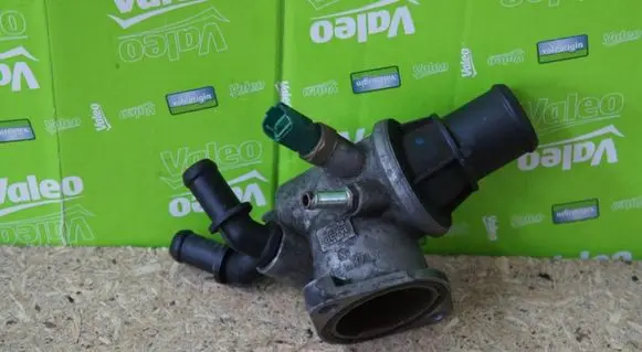 Thermostat/thermostat housing