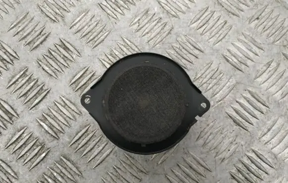 Panel speaker