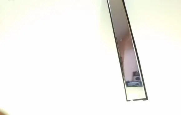 Toyota Camry Rear door glass trim molding