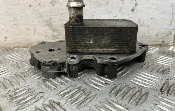 Opel Insignia A Engine oil radiator 55599943