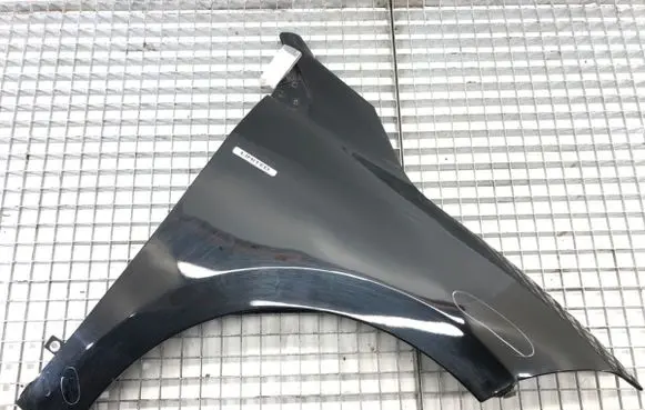 Renault Megane III Fender