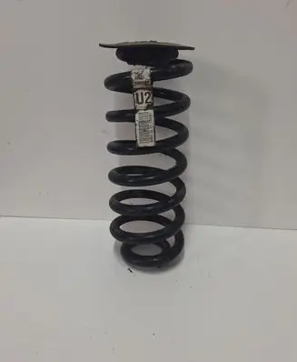 BMW X5 E53 Rear coil spring 1096301