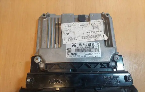 Engine control unit/module ECU