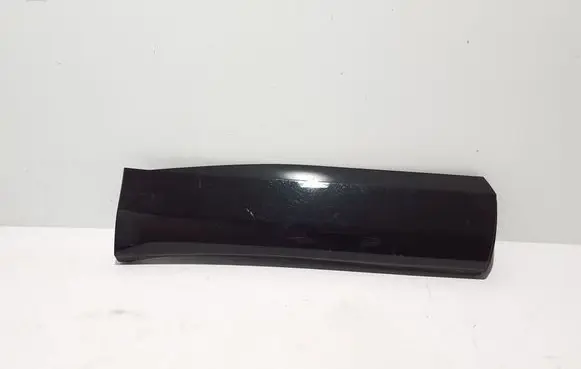 Renault Austral Rear door trim (molding) 828206725R