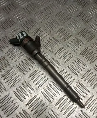 Hyundai Santa Fe Fuel injector 0445110064 3380027010