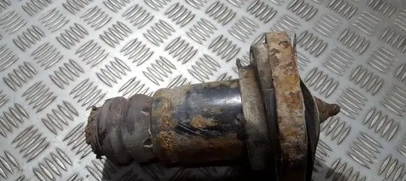 Coil spring mount