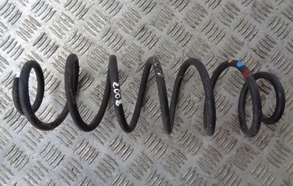 Rear coil spring