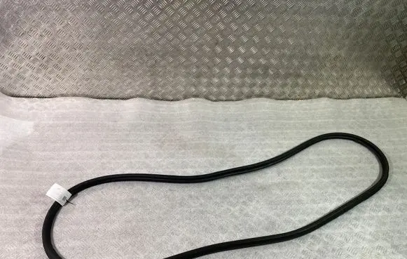 Hyundai Santa Fe Trunk rubber seal (body) 